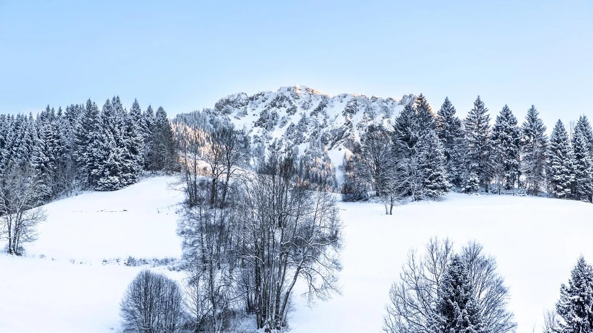 Schrofen Chalets Jungholz